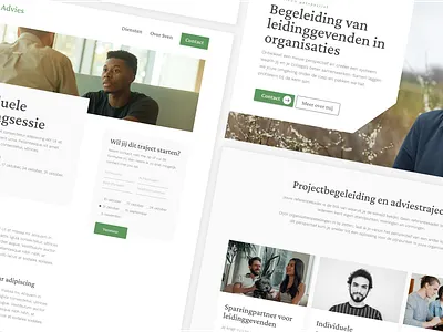 Webdesign for Van Rijswijk Project & Advies branding graphic design webdesign