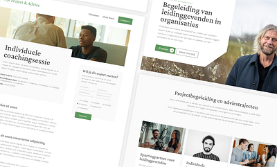 Webdesign for Van Rijswijk Project & Advies branding graphic design webdesign