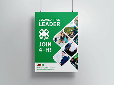 Award Winning 4-H Recruitment Flyer branding design drawing editorial design graphic design illustration illustrations layout design logo poster design signage typography vector