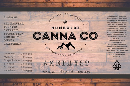 Example of Flyer Design