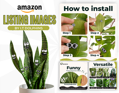 Premium Amazon Listing Images - Plant Magnets | I.T Dolphins amazonapluscontent amazonlistingimages amazonoptimization amazonstorefront apluscontent brandgraphics branding design graphic design i.t dolphins illustration infographics lifestyleimages listingimages productinsertcard ui