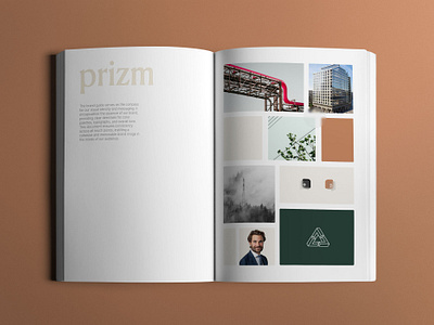 Branding book. book booklet branding design graphic design illustration logo magazine print ui warm colors