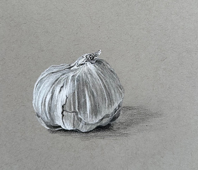 Garlic charcoal food garlic illustration still life