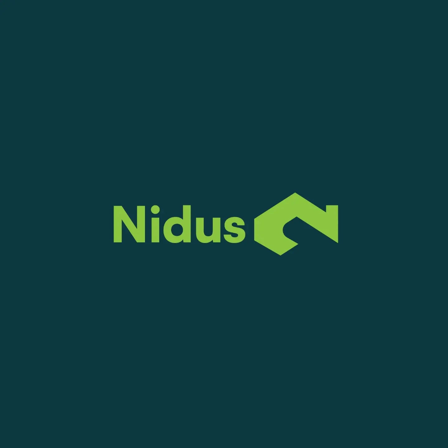 Nidus Brand Identity Design branding estate graphic design logo real estate