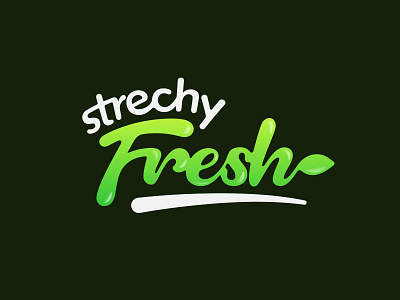 Strechy Fresh design lettering lettermark logo text logo typo typogaphy wordmark