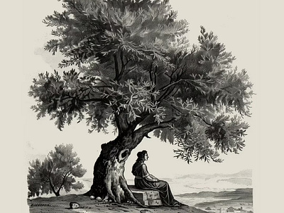 Fortuna Olive Oil Tree Illustration branding engraving etching illustration olive oil tree vintage illustration