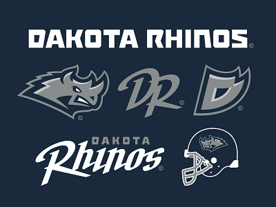 24/32 – Dakota Rhinos branding flash sheet football graphic design illustration logo north dakota rhino rhinoceros south dakota sports sports branding typography