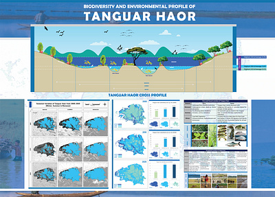 Biodiversity and Environmental Profile of Tanguar Haor bangladesh haor creativity design graphics deisgn haor image infopograph mapping sunamganj tanguar haor