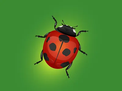 Ladybug on green background art branding decoration design graphic design green illustration ladybug modern print trend ui