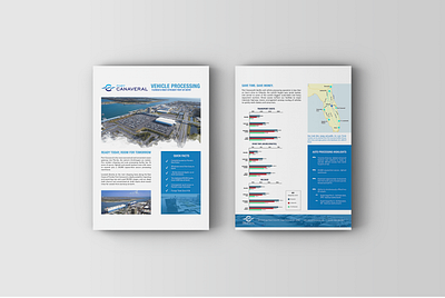 CPA Vehicle Processing Fact Sheet advertising branding design editorial design fact sheet fact sheet design flyer flyer design graphic design layout design marketing print print design publication publication design small publication