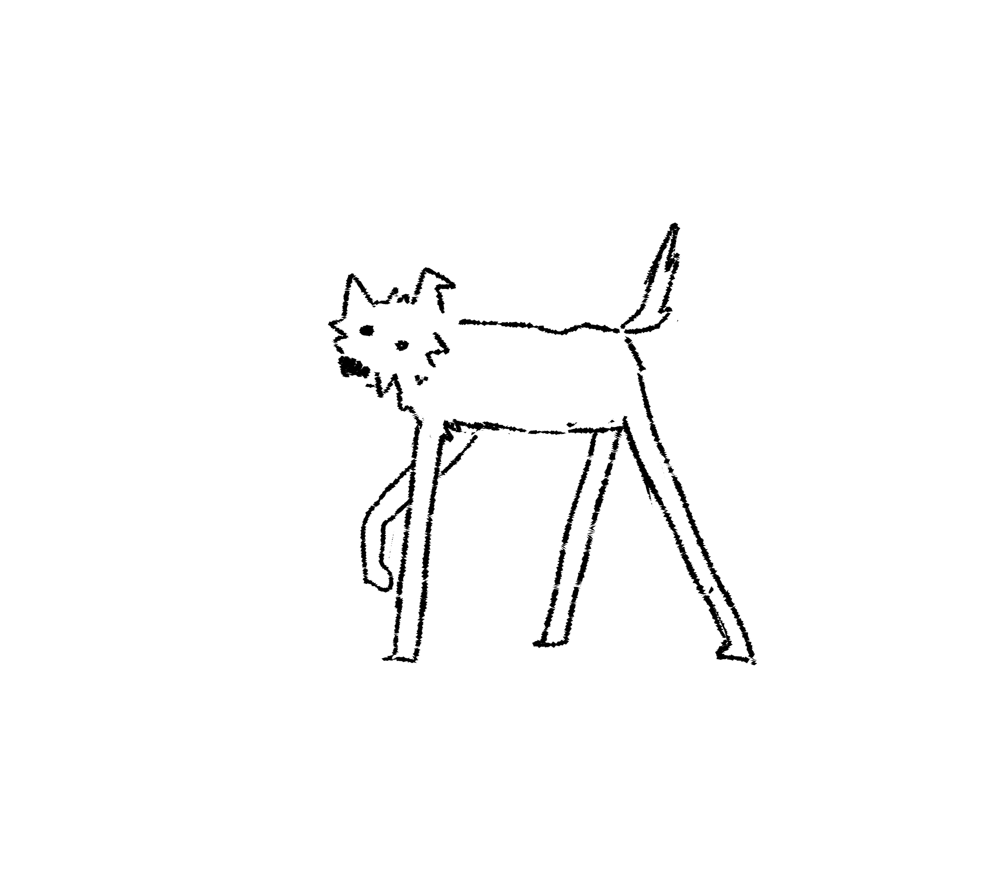 wolfie longlegs animation illustration