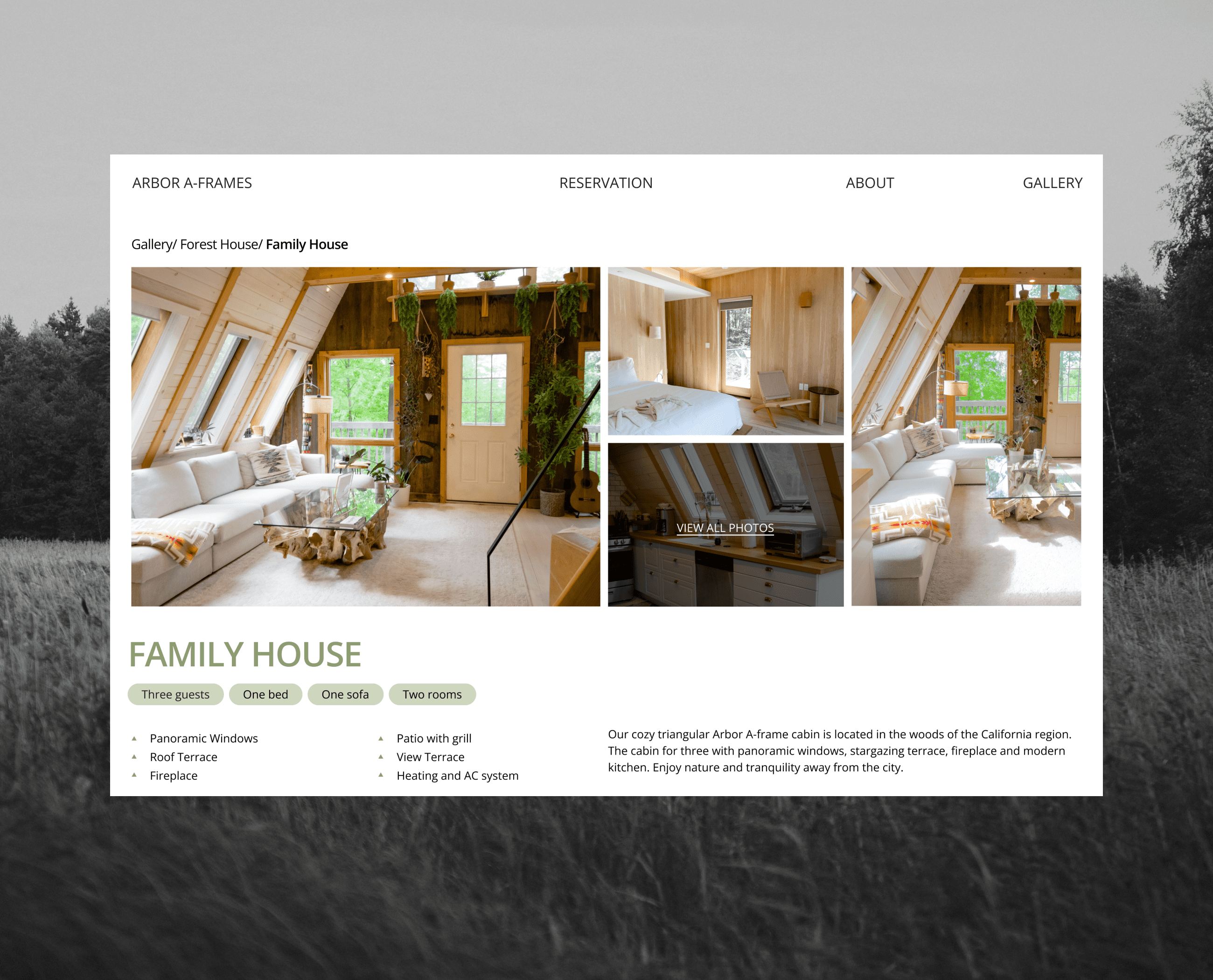 A-Frames Website by Sofya Douhel on Dribbble