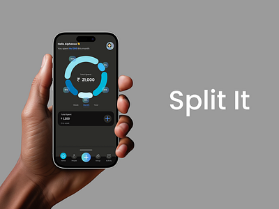 Split it dashboard finance fintech mobile ui spitwise ux