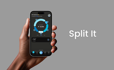 Split it dashboard finance fintech mobile ui spitwise ux