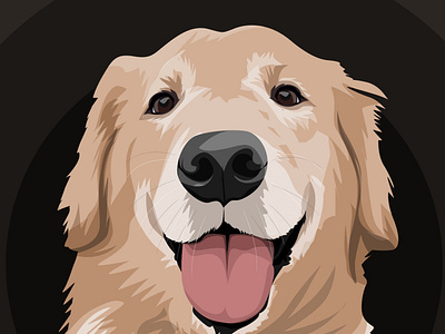 Golden retriever🐶 dog golden retriever illustration portrait portrait illustration portrait vector vector