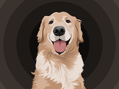 Golden Retriever dog golden retriever illustration portrait portrait illustration portrait vector vector