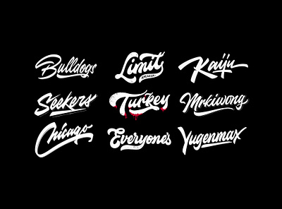 Lettering Logos adventure apparel brand calligraphy clothing design lettering lettering collections logo logotype outdoor retro vintage