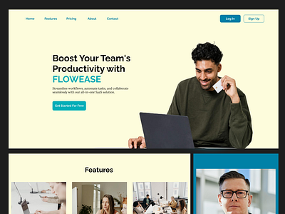 Landing Page User Interface/Web Design ui