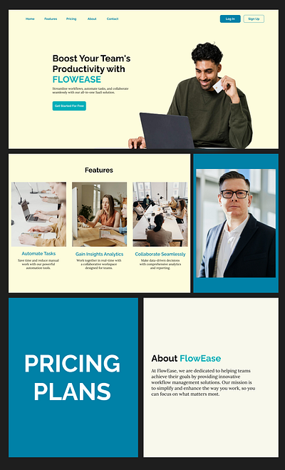 Landing Page User Interface/Web Design ui