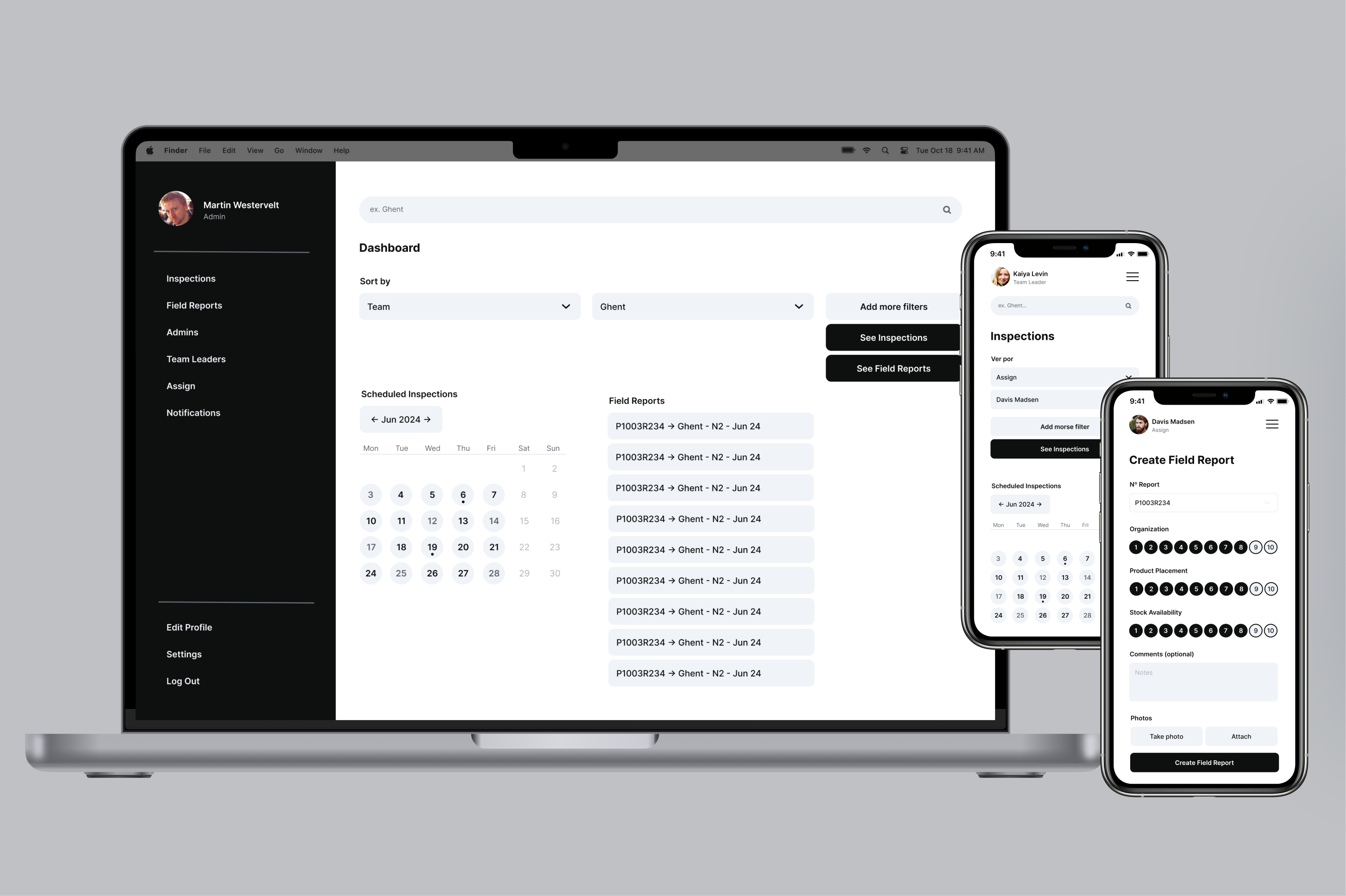 Field Reports Software accessibility design desktop mobile reports ui user interface ux