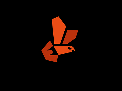Flying bird 2 bird bold branding consultants design flying geometric logo logodesign modern