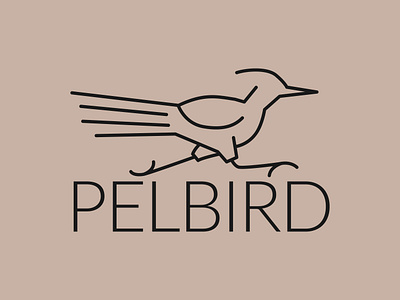 PELBIRD | Phoenix, AZ vibrantdesign