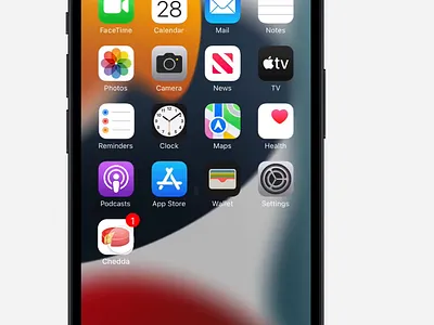 Chedda mobile app animation interaction design loan mobile app