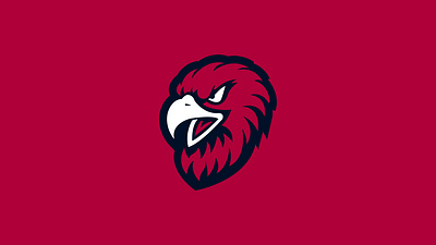 Quasar Sportswear Mascot angry mascot apparel mascot bird mascot logo eagle brand mark eagle mascot eagle mascot logo falcon brand mark falcon mascot falcon mascot logo fashion mascot fierce mascot fitness mascot flat mascot mascot brand mark mascot logo mascot logo design minimalistic mascot sports mascot sports mascot mark sportswear brand mascot