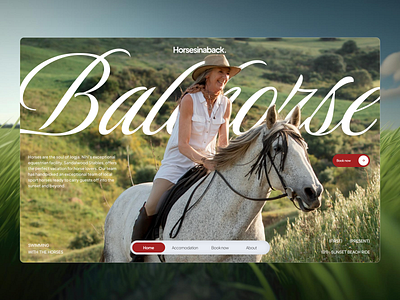 Horsesinaback - Horse Riding Club Website big typography club design hero section horse horse riding horse riding club layout sports trending typography ui user interface ux web design website