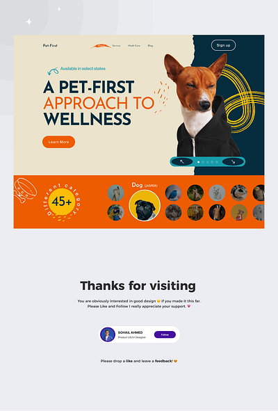 Pet Website Design landingpage pet pet website ui ux web website