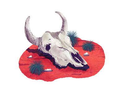 Desert cow desert hand drawn illustration procreate skull