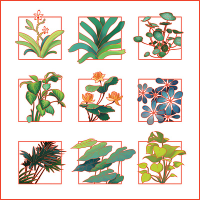 Plants box flowers greenery grid house plant illustration leaves organic plants squares