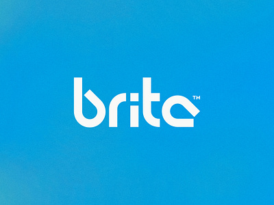 Brita custom drip drop filter hydration logo type water wordmark