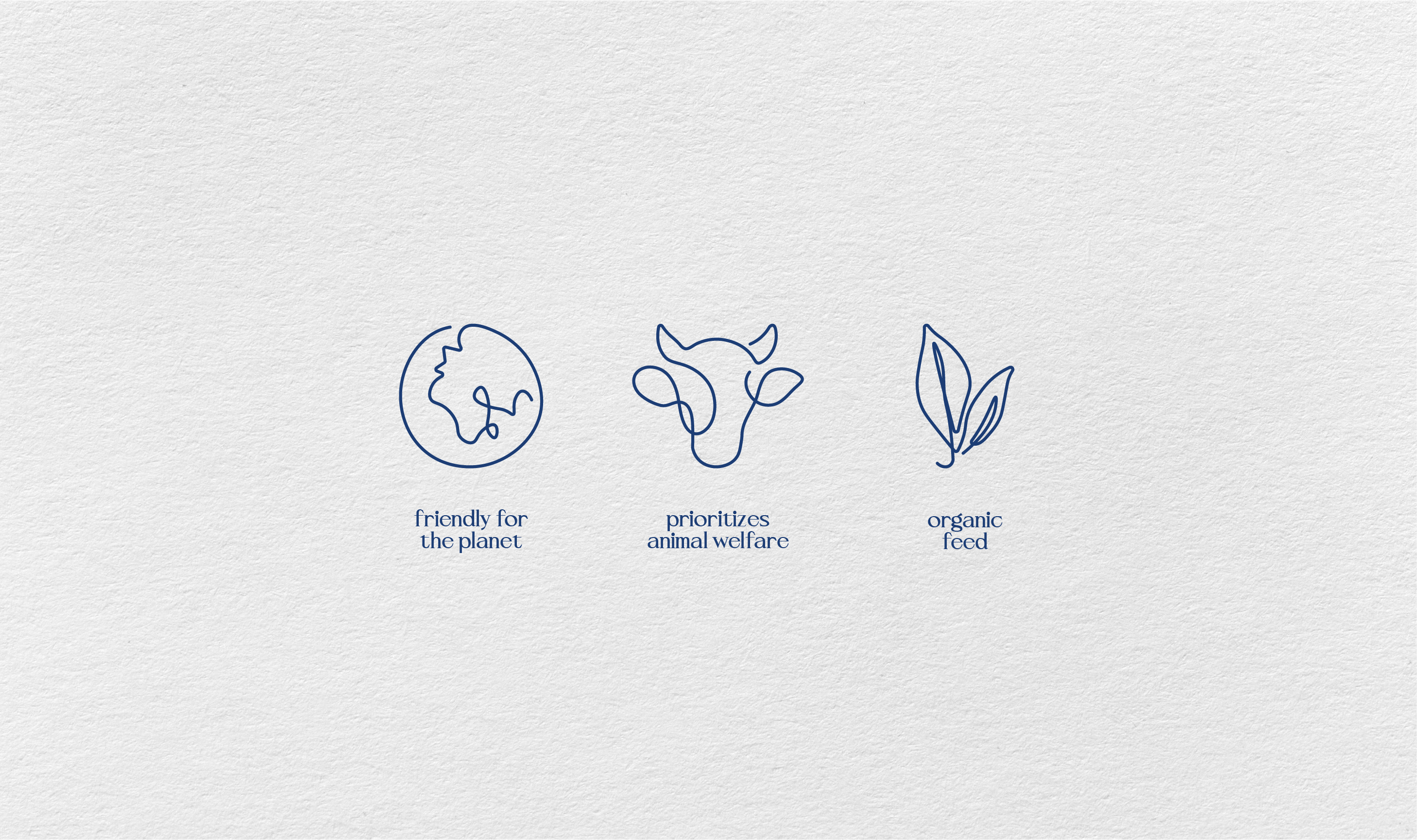 Example of Icon Design