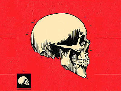 MM* book cartoon cd character cover design graphic design illustration music skull vector vinyl