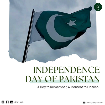 Pakistan Independence Day Video animation pakistan independence day reel social media reel ui web design