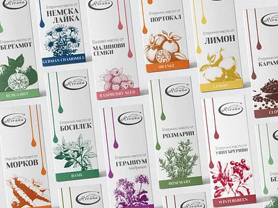 Essential & Carrier Oils Packaging Design | Rivana branding clean design essential oil graphic design illustration illustration art illustrator natural products packaging design plant illustration vibrant illustrations