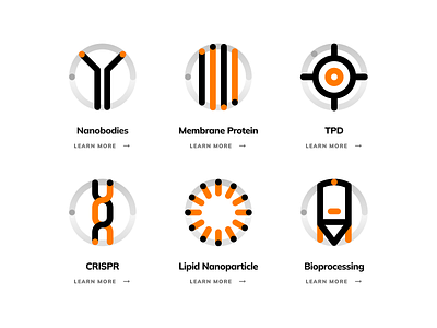 fidabio: Future of Protein Analysis | Iconography Set UIUX biology icon bioprocessing icon biotech biotech icon crispr icon dna icon icon icon pack icon set iconography icons nanobody icon nanoparticle protein icon science icon science icons therapeutics ui icon ui icon set ui icons