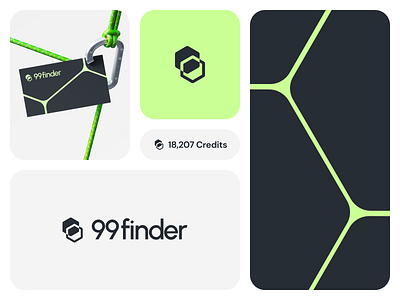99finder — Logo and Visual Identity ai b2b black brand brand identity branding figma green hex identity logo saas tool visual identity