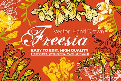 Hand drawn vector freesias background beauty blossom botanical flower season