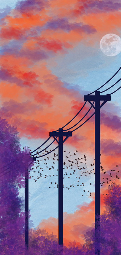 Illustration - Sunset illustration wallpaper