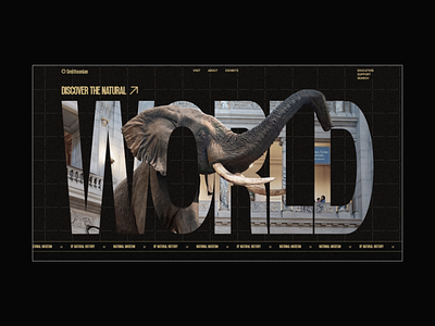 National Museum of Natural History animation ui