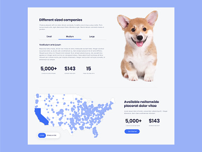 Pet Care: Web Design contemporary dog dogs healthcare map pet care pet healthcare pets stats tabs ui ux web web design website