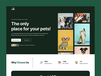 The Hills - Veterinary Clinic Landing Page animal clinic clinic website design grooming landing page medicine pet pet care profession care ui ux vet care vet landing page vet platform vet service veterinary web design website website design