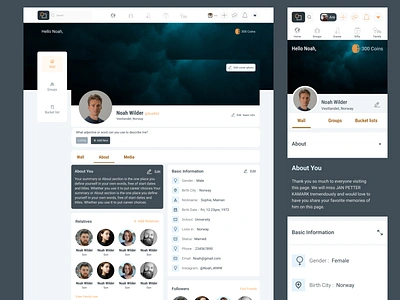 Nettgrav -User profile design uiux ux web