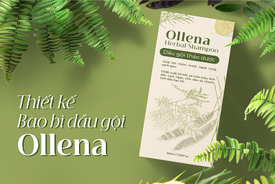 OLLENA | PACKAGING DESIGN brand identity branding design graphic design identity identity design logo packaging design shampoo