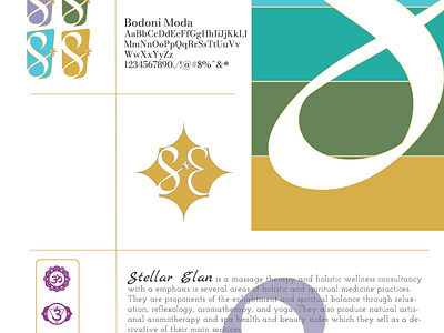 Stellar Elan Brand Identity Design branding graphic design logo