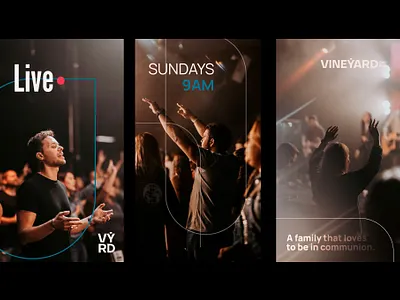 Vineyard - Branding branding graphic design logo