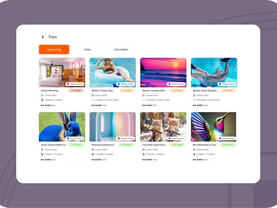View my trips - Dashboard Web UI clean ui dashboard design figma manage bookings manage trips mobile app my trips dashboard travel app travel dashboard ui usability ux ux research web app web ui