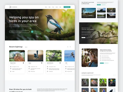 Bird Club Website bird watching bird watching website bird website birds bright colourful design fun high res images images light ui ux web design webdesign website website design